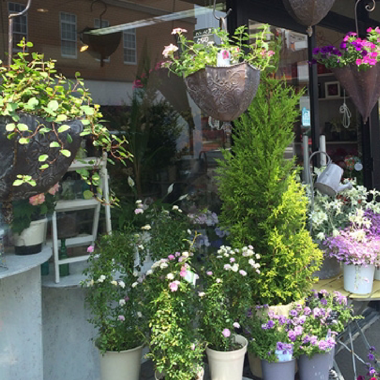 フラワーハウス花ことば 駅前店
